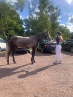 Lisrua Bluebell och Alva